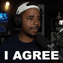 I Agree Raynday Gaming GIF - I Agree Raynday Gaming Agreed GIFs