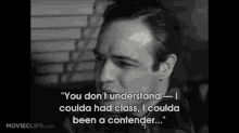 A Moment Of Robbed Promises. GIF - On The Waterfront Marlon Brando Classic GIFs