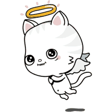 toofio the cat angel pray hands white cat halo