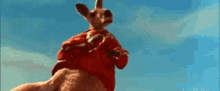 kangaroo kangaroo