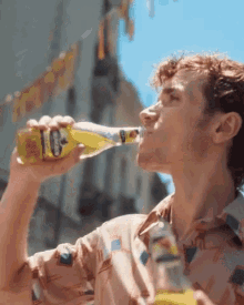 Cider Strongbow GIF - Cider Strongbow Apple Cider GIFs