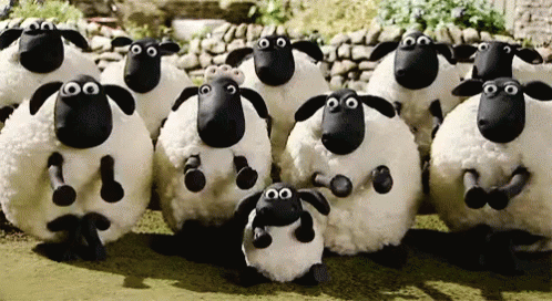 [Image: shaun-the-sheep-stop-motion.gif]
