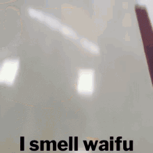 We Smell Waifu GIF - We Smell Waifu GIFs