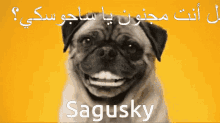 Sagusky Crazy GIF - Sagusky Crazy Muralhas GIFs