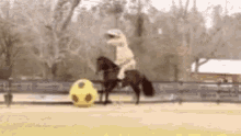 Dinosaur Riding A Horse Playing GIF - Dinosaur Riding A Horse Playing Soccer GIFs