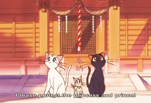 Sailormoon Cats Gif Sailormoon Cats Cute Discover Share Gifs