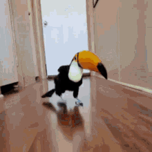 Toucan Bird Funny Dance GIF - Toucan Bird Funny Dance Birb GIFs