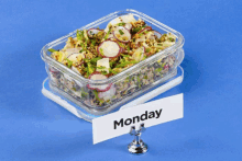 Salad All Week GIF - Salad All Week No Meat GIFs