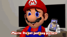 Smg4 Mario GIF - Smg4 Mario Its Not Just Any Picture GIFs