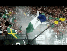 Rctid Portland Timbers GIF - Rctid Portland Timbers For The Win GIFs