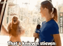 Orangutan Thats Knieven Stieven GIF - Orangutan Thats Knieven Stieven Ape GIFs