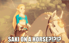 Zelda Saki GIF - Zelda Saki Horse GIFs