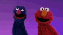 Grover Sesame Street GIF - Grover Sesame Street Elmo GIFs