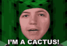 Cactus Minecraft GIF - Cactus Minecraft Im A Cactus GIFs
