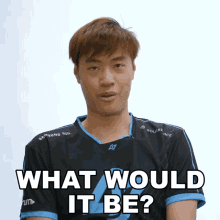 What Would It Be Wildturtle GIF - What Would It Be Wildturtle Counter Logic Gaming GIFs