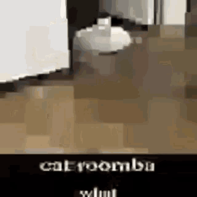Cat Meme GIF Cat Meme Discover & Share GIFs