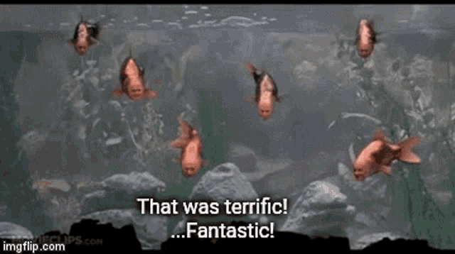 Monty Python Fish GIF - Monty Python Fish Meaning Of Life GIFs