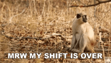 Off Work Shift Is Over GIF - Off Work Shift Is Over Mrw GIFs