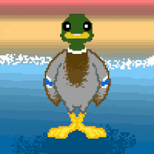 Mallard Duck GIF - Mallard Duck Guineapicasso GIFs