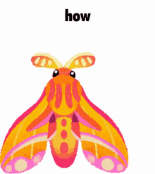 How Weird Moth GIF - How Weird Moth Cute Moth GIFs