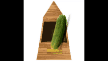 waiting time pickle cucumber metronome