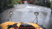 Seal Central Bus GIF - Seal Central Bus Water GIFs