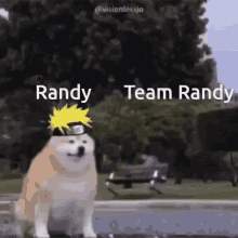 Team Randy GIF - Team Randy Randy Knegers GIFs