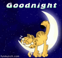 Good Night Garfield GIF - Good Night Garfield Moon GIFs