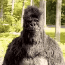 Thumbs Up Gorilla GIF - Thumbs Up Gorilla You Rock GIFs
