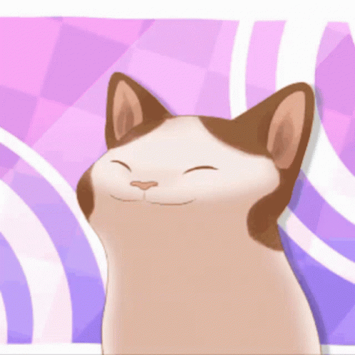 Cat Vibe GIF - Cat Vibe - Discover & Share GIFs