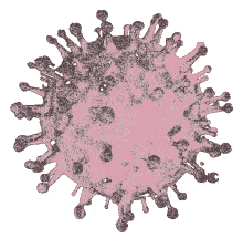 covid covid19 coronavirus covid covid19 coronavirus