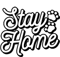 Stay Home Stay At Home Sticker - Stay Home Stay At Home Wfh Stickers