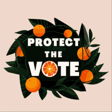 Protect The Vote Florida GIF - Protect The Vote Florida Florida Oranges GIFs