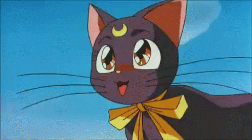 Sailor Moon Gif Sailor Moon Luna Discover Share Gifs