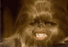 Wookie Star Wars GIF - Wookie Star Wars GIFs