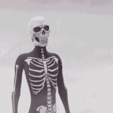 Calavera Death GIF - Calavera Death Skull GIFs