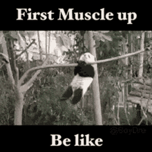 Muscle Muscleup GIF - Muscle Muscleup GIFs