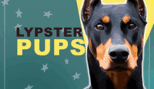Lypstar Lipstar GIF - Lypstar Lipstar Lypstar Pup GIFs