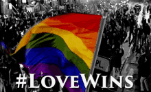 Love Wins GIF - Love Wins Lgbtq Pride GIFs