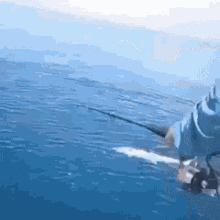 fishing shark ocean great white thief