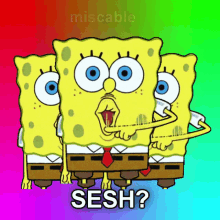 Sesh Miscable GIF - Sesh Miscable Shush GIFs