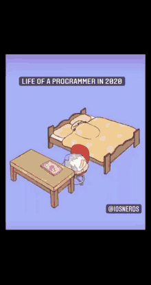 Life Programmer GIF - Life Programmer Developer GIFs
