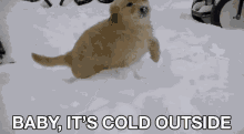 baby its cold outside baby its cold outside
