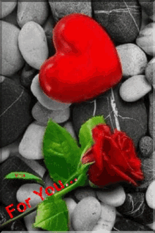 Herat Roses GIF - Herat Roses Stones GIFs