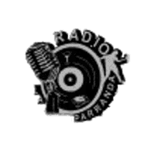 radiolaparranda radio parranda radio spinning icon