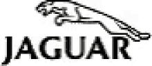 jaguar logo sparkle symbol