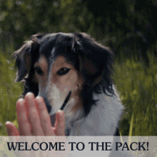 Welcome High Five GIF - Welcome High Five Inclusive GIFs