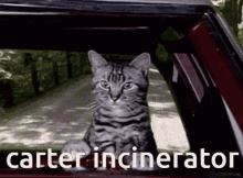 Carter Incinerator GIF - Carter Incinerator GIFs