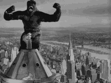 Kong King Kong GIF - Kong King Kong Empire State GIFs