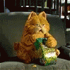 Garfield Cat GIF - Garfield Cat Popcorn GIFs